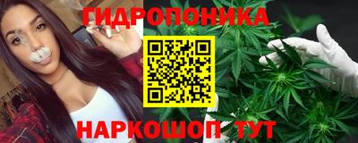 крисы Рязань