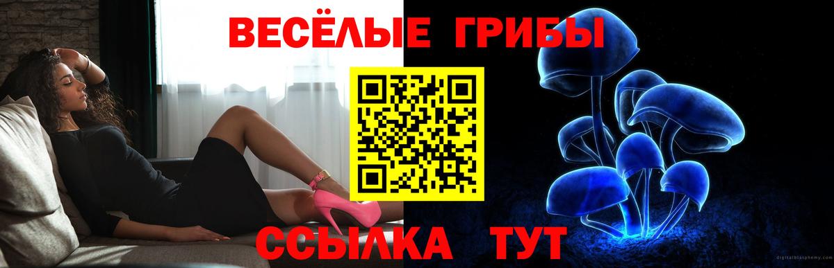 Галлюциногенные грибы мухоморы  Вход с VPN  Россошь 